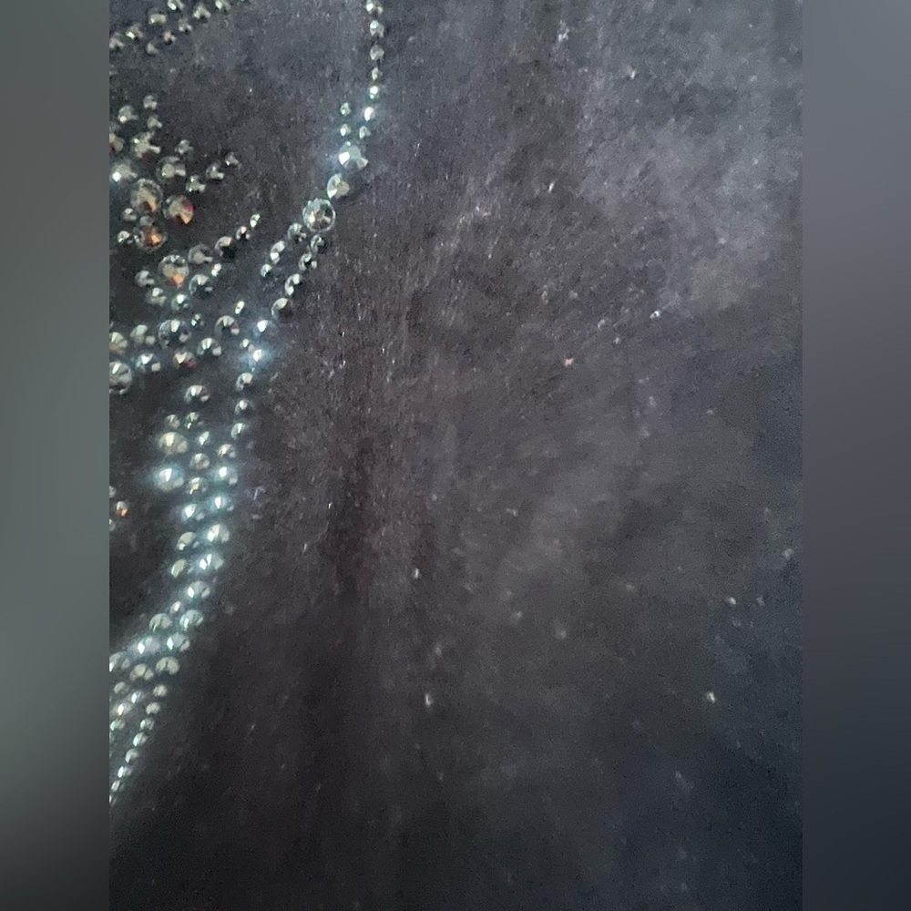 Sonya Rykiel Vintage Tiger Velvet Top - Picture 14 of 17